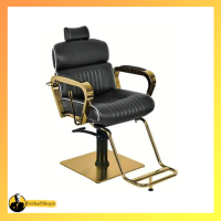 صندلی رزونال مدل BX-3079B-2